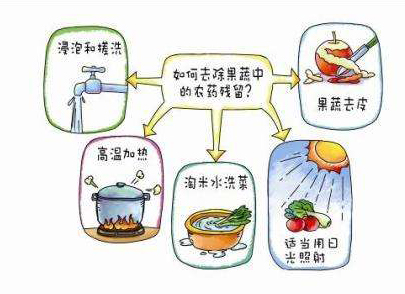 如何減少農(nóng)藥污染去除農(nóng)藥殘留？振華化工總結(jié)以下幾點分享給大家